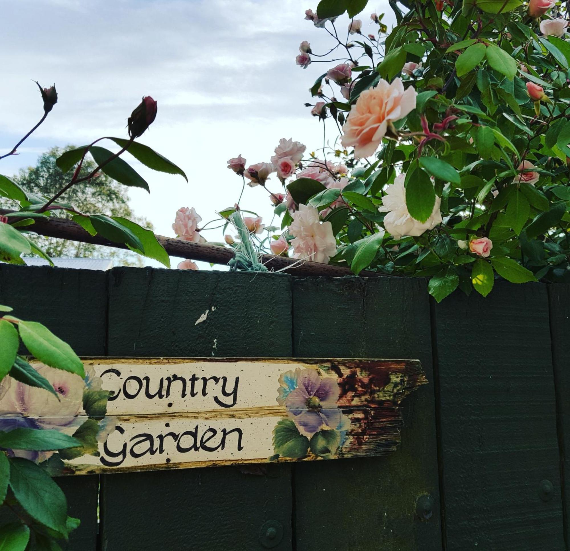 Dragonflycottagebnb Grovetown Экстерьер фото